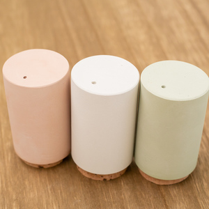 SEASONING CASE salt